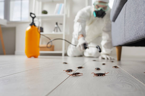 Commercial Kitchen Cockroach Control in Melwood